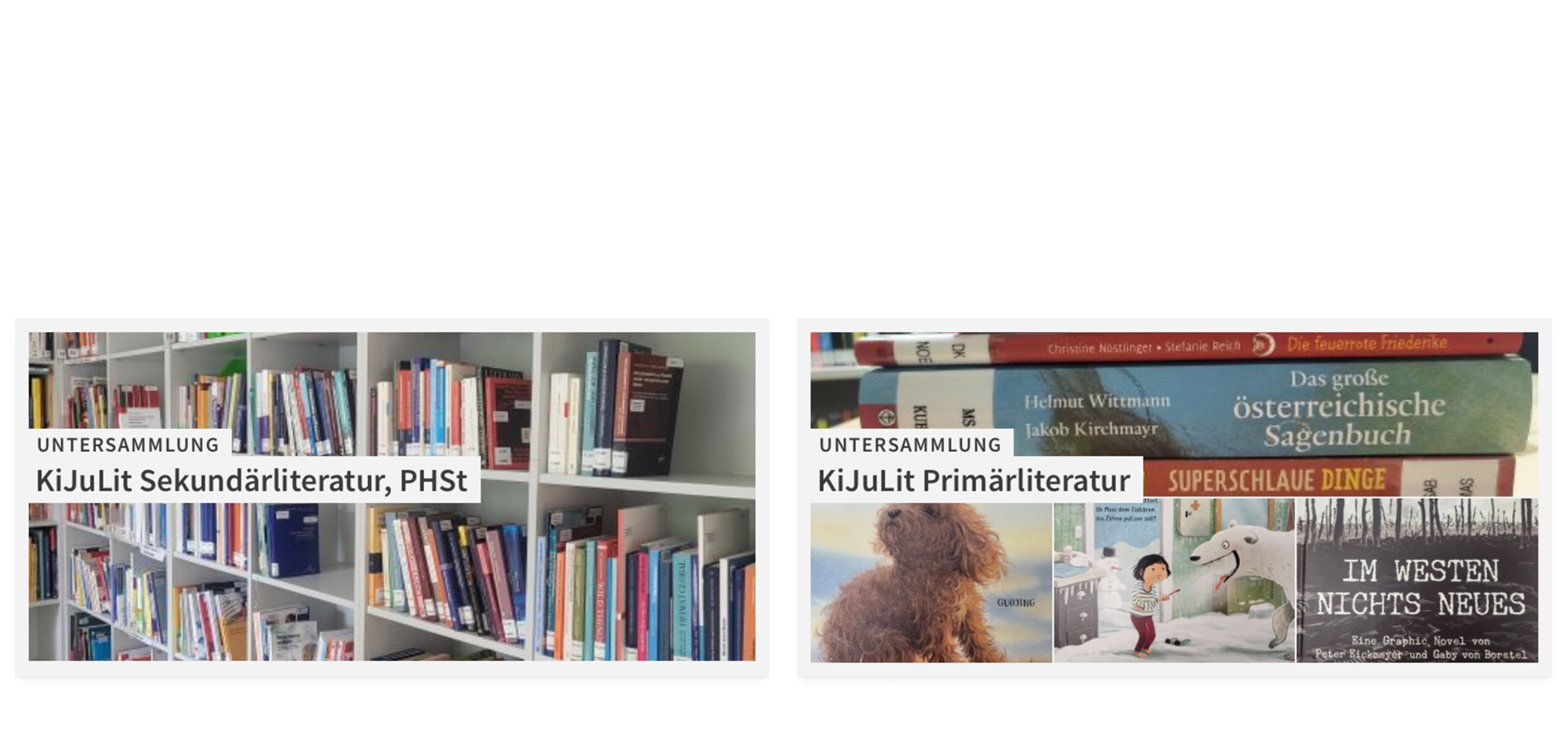 Das KiJuLit-Zentrum bietet Forschenden und Studierenden eine umfangreiche Sammlung an Primär- und Sekundärliteratur. Die Spezialsammlung wird laufend erweitert; Bücher und Medien können über die Bibliothek entliehen werden.